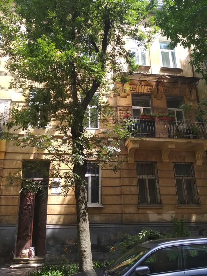 Cosy flat Apartment Lviv Ngoại thất bức ảnh